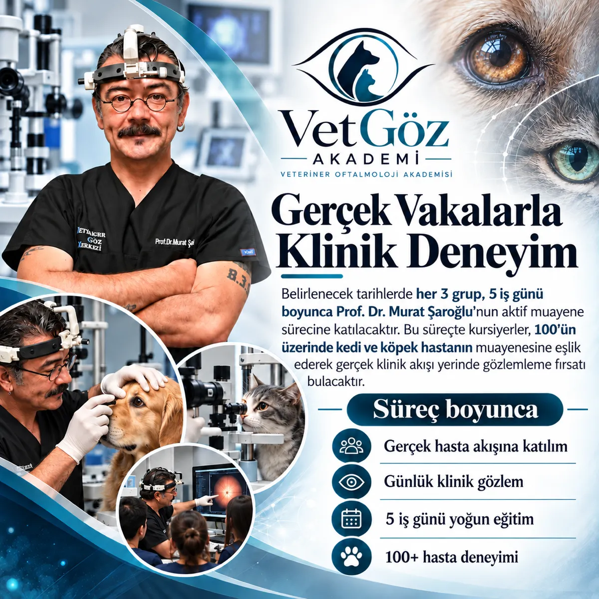 VetEye Academy course poster — Level 3 (3/5)
