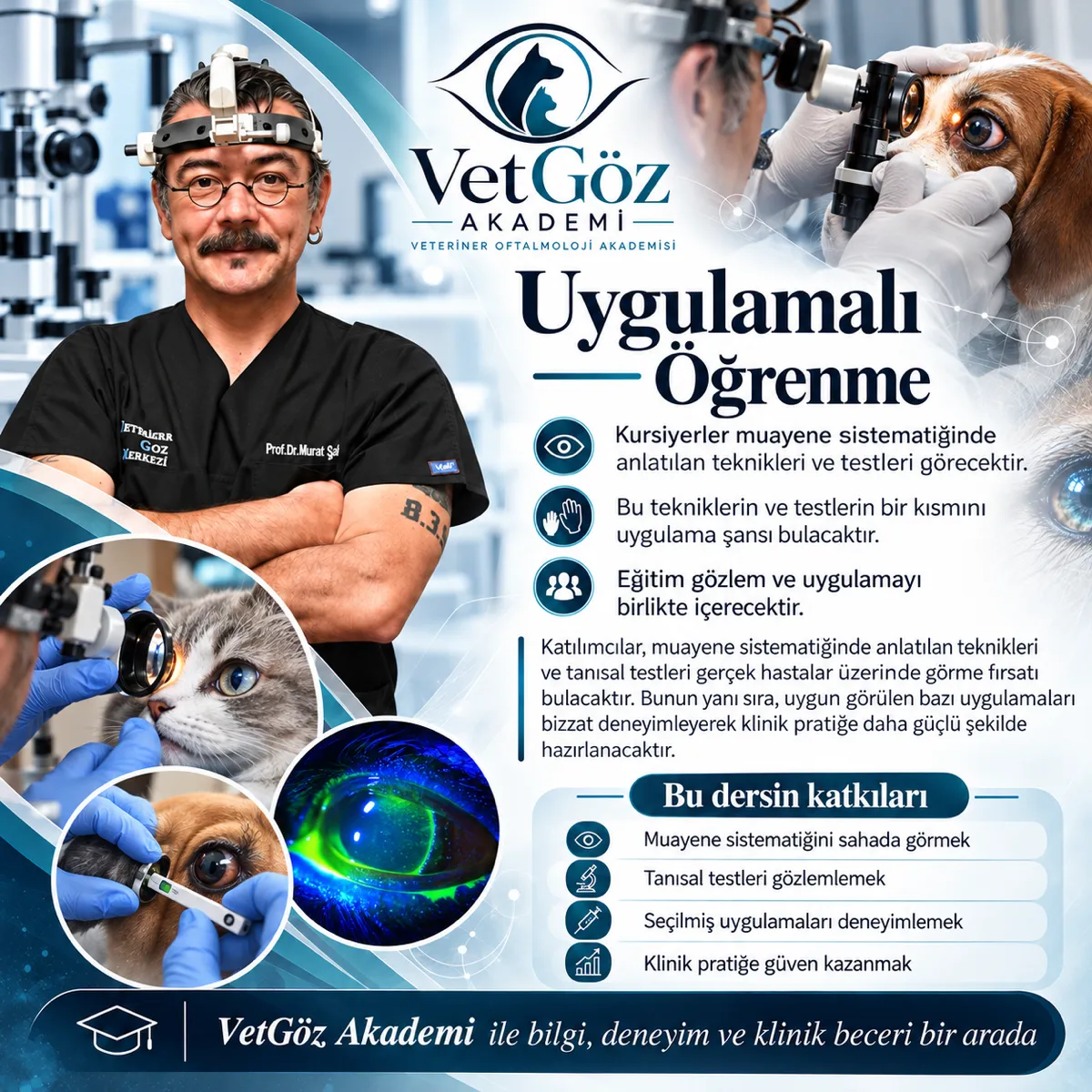 VetEye Academy course poster — Level 3 (4/5)