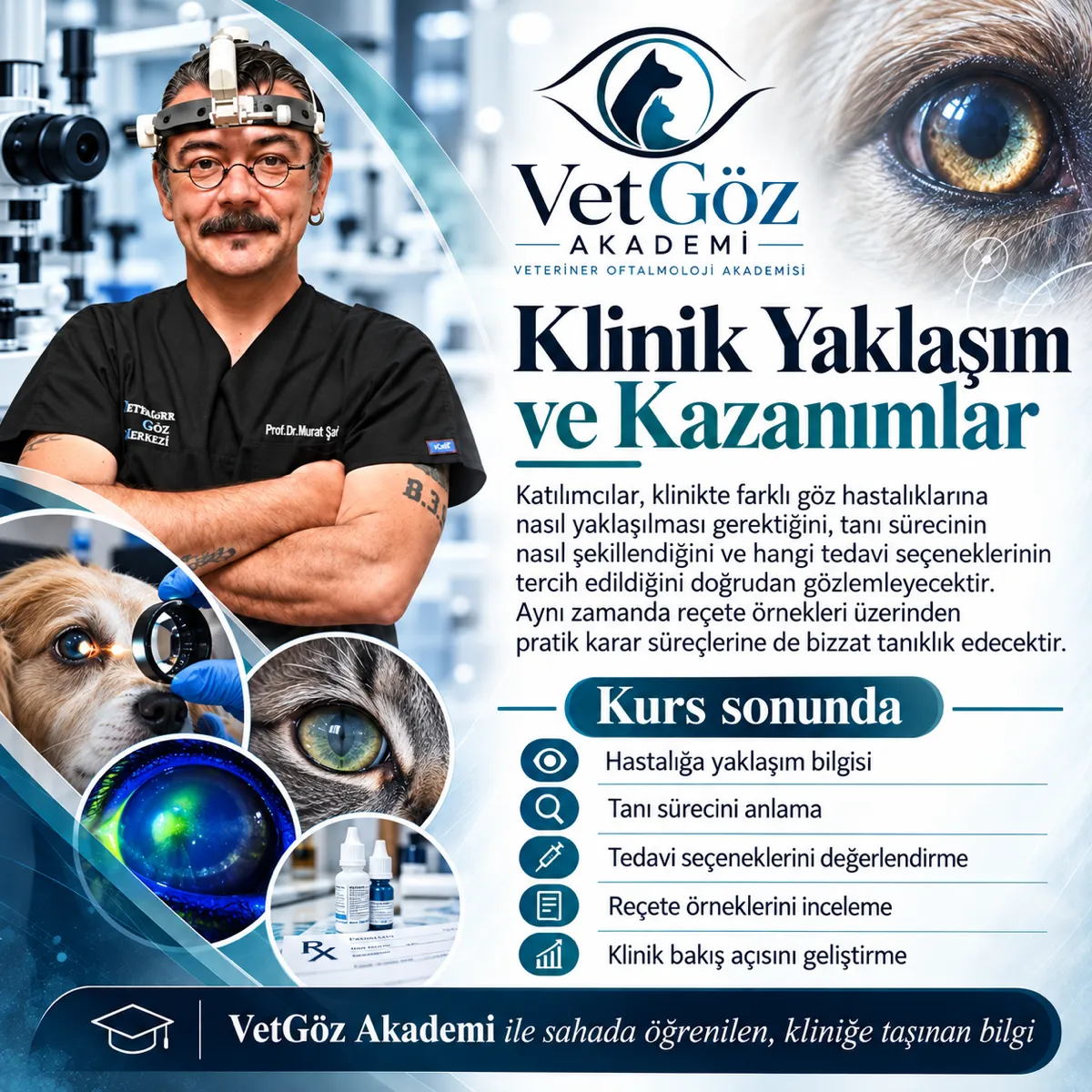 VetEye Academy course poster — Level 3 (5/5)